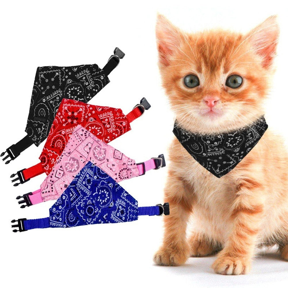 Cat Bandana