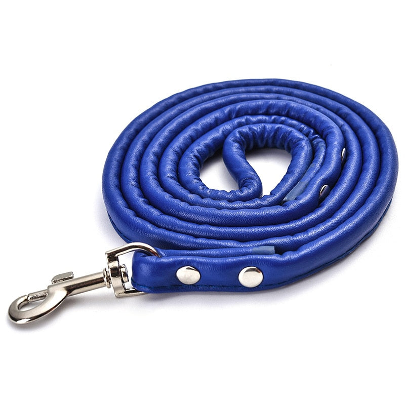 Leather Leash