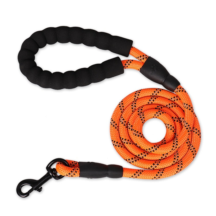 Flexible Leash