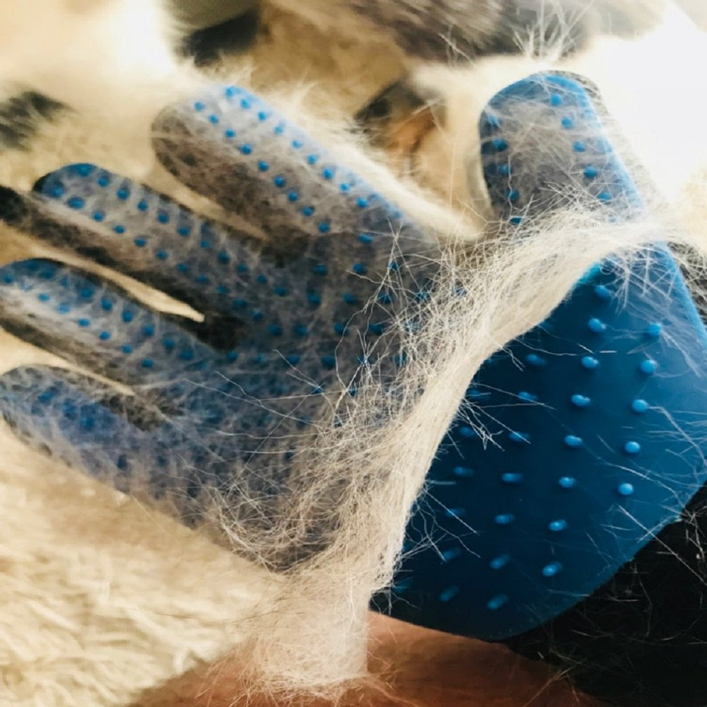 Grooming Glove