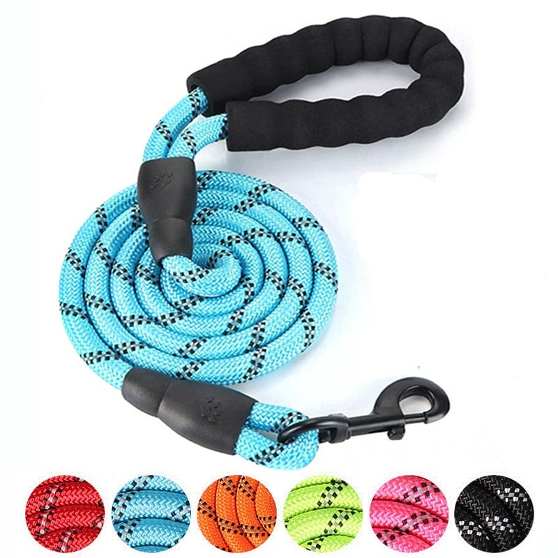 Flexible Leash