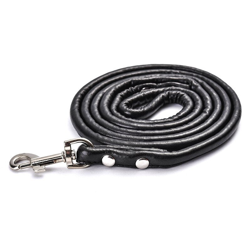 Leather Leash