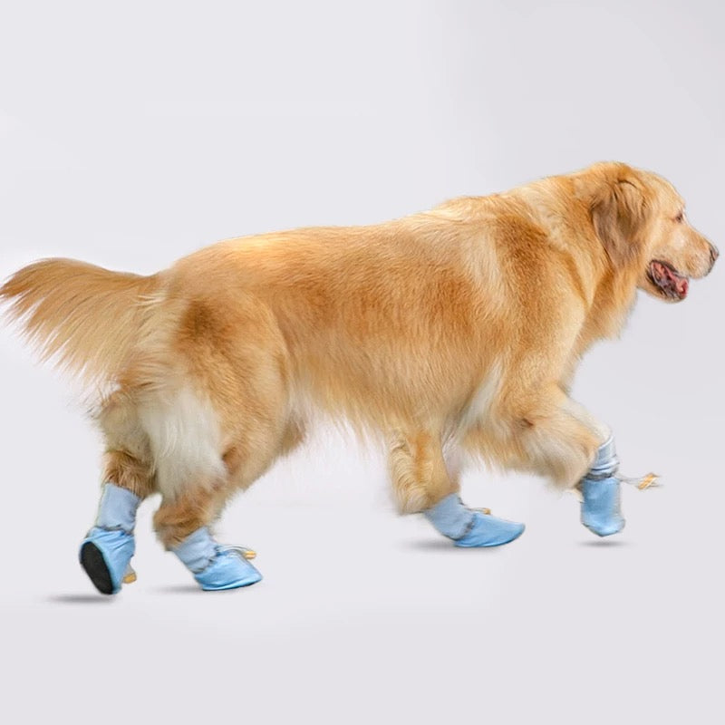 The hipidog shoes